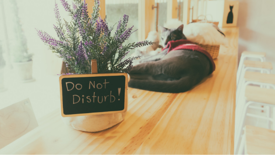 airbnb-disturbance-issues